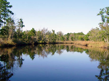 Hardeeville, SC, along SC